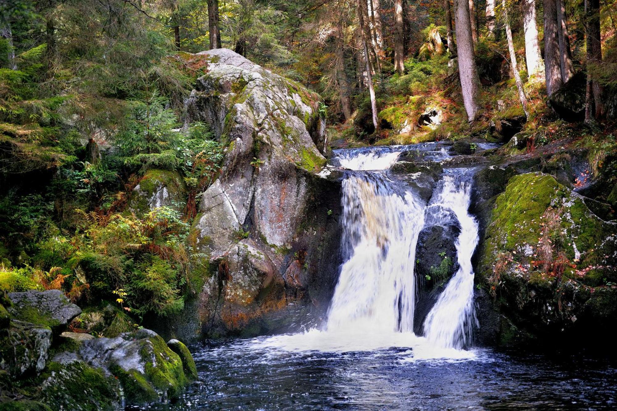 Naturidyll Am Fluss - Ferienhaus Albmatte - Grosser Garten Zum Grillen Und Entspannen-Direkt Neben Dem Radon Revitalbad Mit Sauna Und Thermalbecken St. Blasien Exterior foto