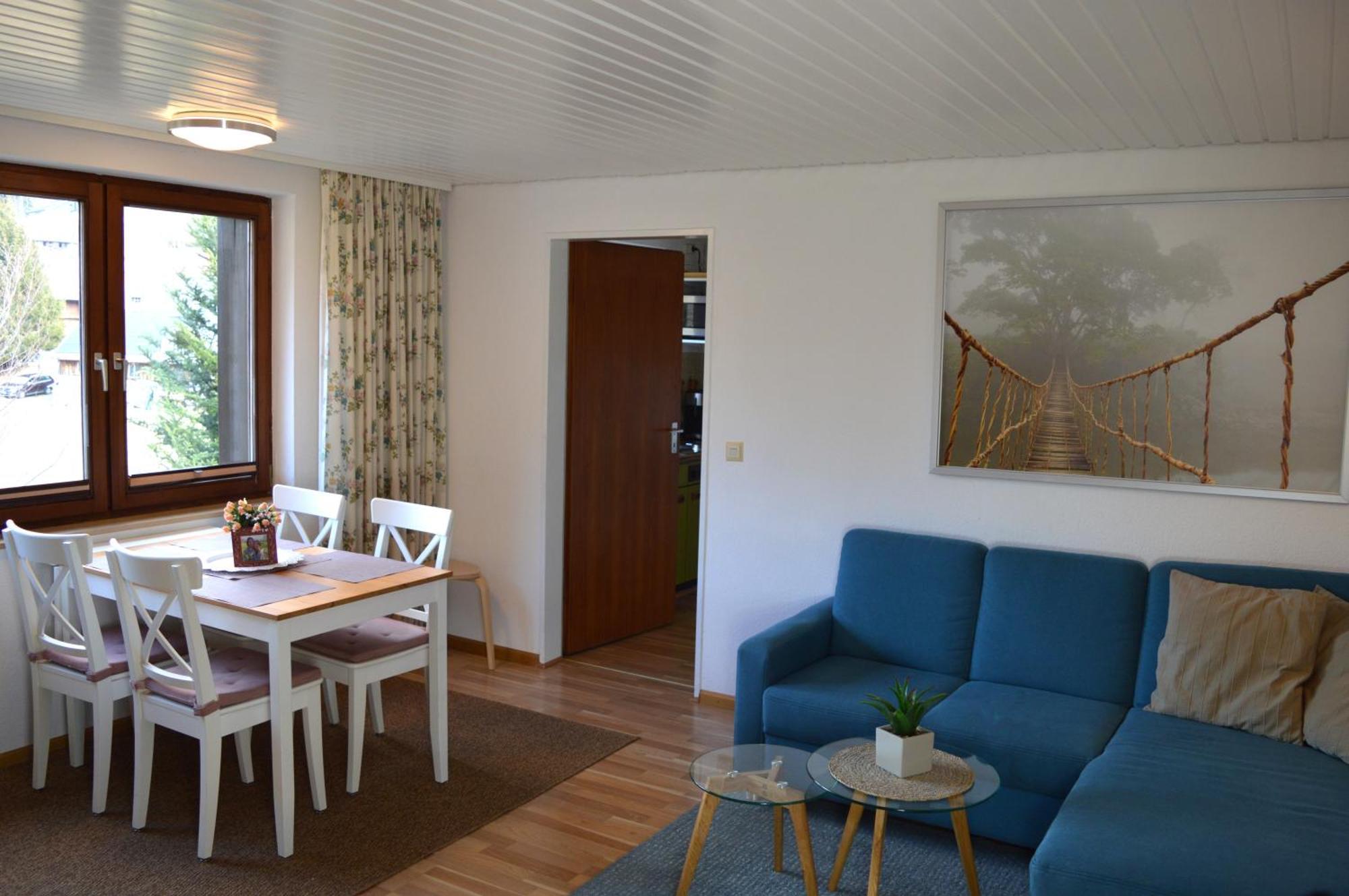 Naturidyll Am Fluss - Ferienhaus Albmatte - Grosser Garten Zum Grillen Und Entspannen-Direkt Neben Dem Radon Revitalbad Mit Sauna Und Thermalbecken St. Blasien Exterior foto