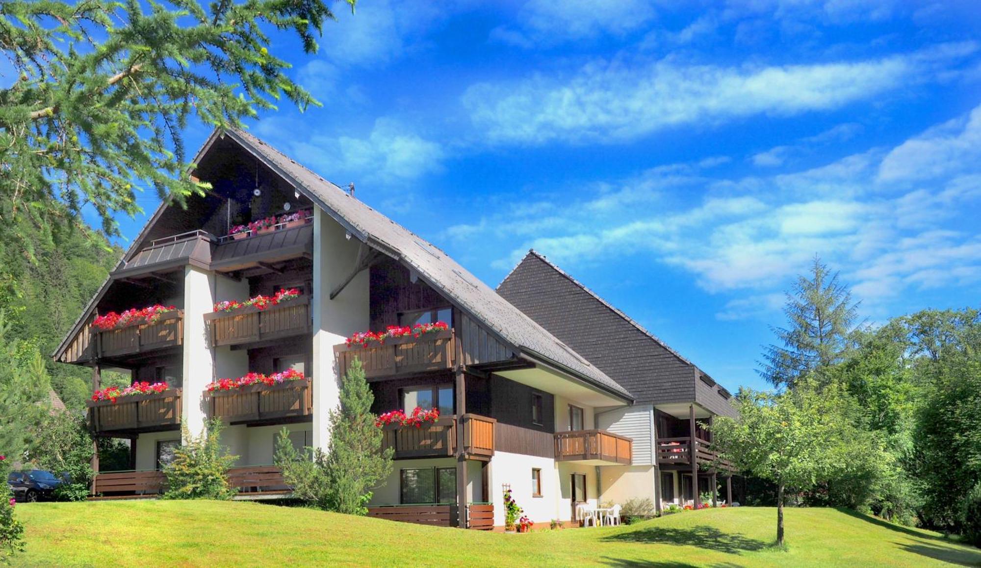 Naturidyll Am Fluss - Ferienhaus Albmatte - Grosser Garten Zum Grillen Und Entspannen-Direkt Neben Dem Radon Revitalbad Mit Sauna Und Thermalbecken St. Blasien Exterior foto